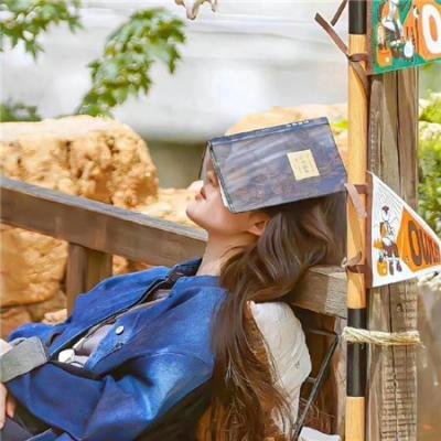 人+性大不同：荷兰德国篇