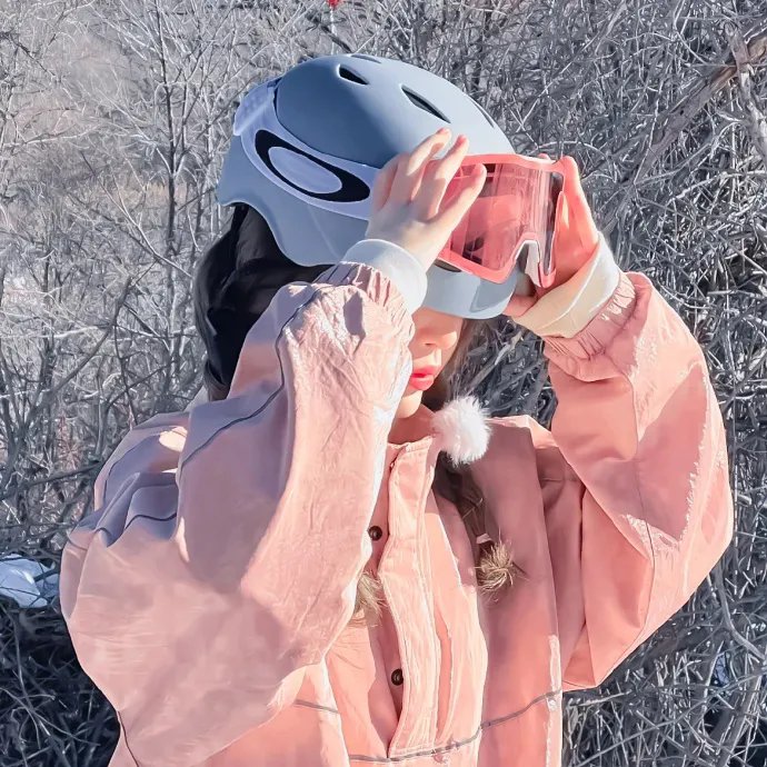 木材宝藏狗