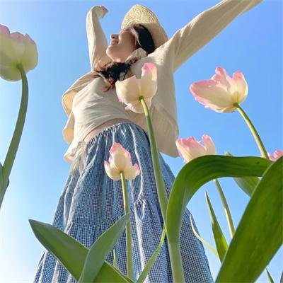 芭比公主三剑客